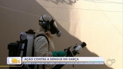 Garça é a segunda cidade do centro-oeste paulista em casos de dengue