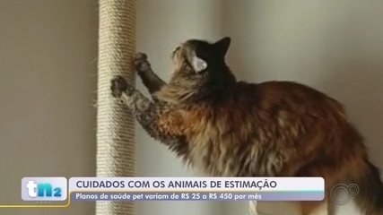 Mercado pet 'dispara' e animais já têm até plano de saúde; conheça Mercado pet 'dispara' e animais já têm até plano de saúde; conheça