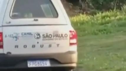 Veículo do canil municipal deixa animal em terreno em Botucatu