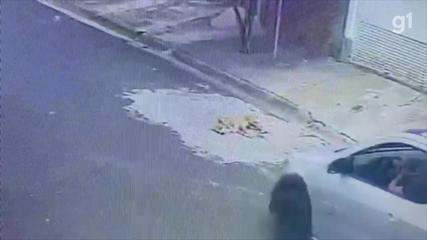 Câmeras registram motorista passando com carro por cima de cachorro no Interior de SP Câmeras registram motorista passando com carro por cima de cachorro no Interior de SP