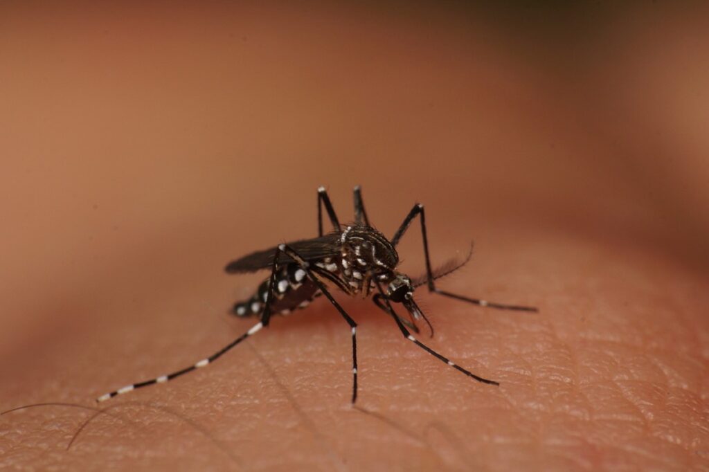 Agudos confirma segunda morte por dengue neste ano