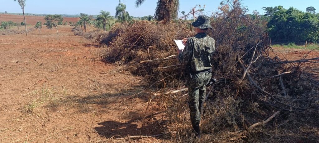 Fazendeiro destrói 3,5 hectares de vegetação nativa e recebe multa de R$ 19,5 mil, em Marabá Paulista