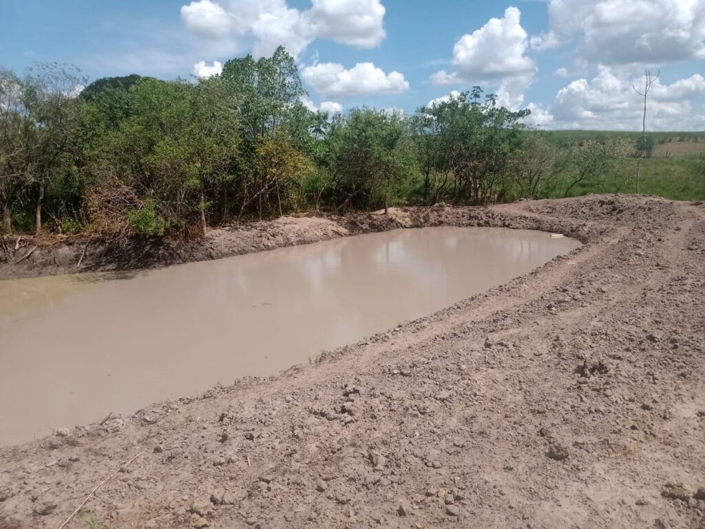 Fazendeiro é multado após destruir vegetação nativa para construção de um tanque, em Adamantina