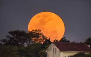 'Lua Cheia Rosa': saiba como vê-la no interior de SP | Bauru e Marília