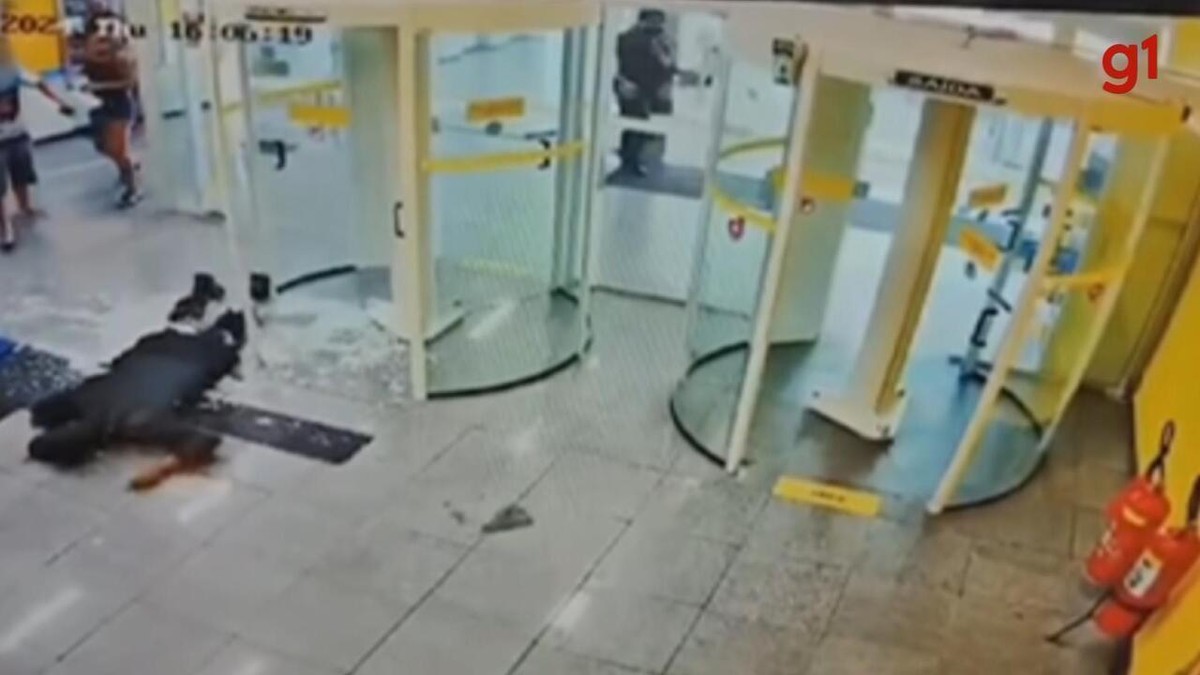 Vídeo mostra momento em que adolescente pega arma e atira em segurança dentro de banco